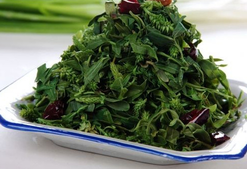 刺兒菜能吃嗎？刺兒菜可以吃嗎