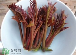 香椿和雞肉可同吃嗎？香椿和雞肉能一起吃嗎？