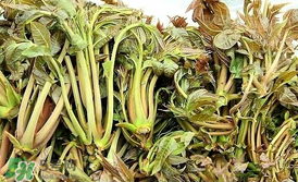 香椿和平菇能一起吃嗎？香椿和香菇能一起吃嗎？