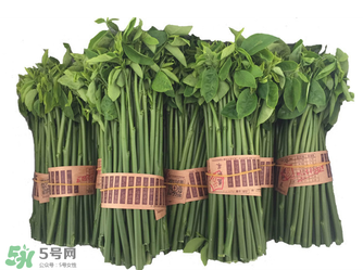 樹仔菜有毒嗎？樹仔菜有沒有毒？