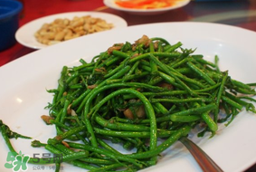 樹仔菜有毒嗎？樹仔菜有沒有毒？