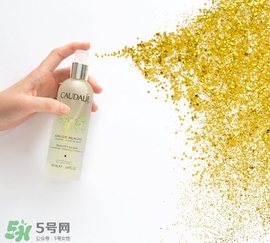 歐緹麗和悅木之源哪個好？歐緹麗皇后水和悅木之源菌菇水