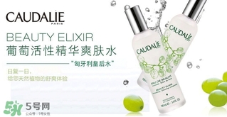 歐緹麗和悅木之源哪個好？歐緹麗皇后水和悅木之源菌菇水