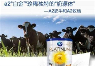 A2奶粉分白金和鉑金嗎？A2奶粉白金鉑金有區(qū)別嗎？