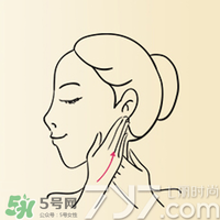 雅頓時(shí)空膠囊怎么用？伊麗莎白雅頓時(shí)空膠囊使用方法