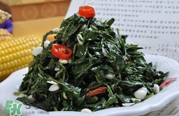 苦菜對(duì)人有什么好處？苦菜有什么功效