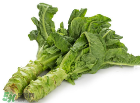 萵筍為什么會(huì)苦？萵筍苦能吃嗎？