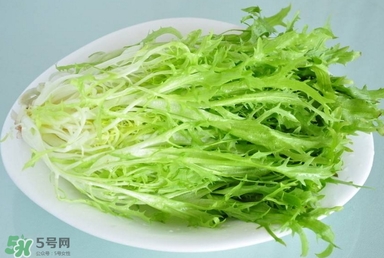 苦苣根哪里有賣？苦苣根茶在那里買的到