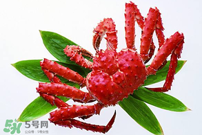 香椿能和海鮮一起吃嗎？香椿和海鮮能一起吃嗎？