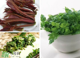 香椿和香菜能一起吃嗎？香椿和香菜怎么做？
