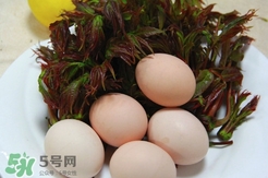 香椿葉能吃嗎？香椿葉孕婦能吃嗎？