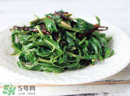 香椿和芹菜能一起吃嗎？香椿可以和芹菜同吃嗎？