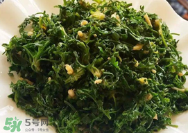薺菜和香椿能一起吃嗎？薺菜和香椿一起吃好嗎？