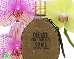 diesel迪塞爾是什么牌子？diesel是哪個國家的？