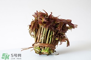 香椿樹(shù)什么時(shí)候發(fā)芽？香椿樹(shù)什么時(shí)候種植