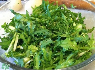 苦菊能炒嗎？苦菊能炒著吃嗎