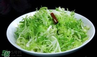 苦菊吃多了好嗎？苦菊吃多了好不