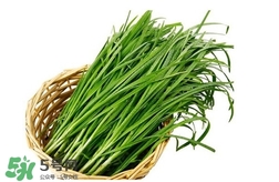 苦菊能和韭菜一起吃嗎？苦菊可以和韭菜一起吃嗎