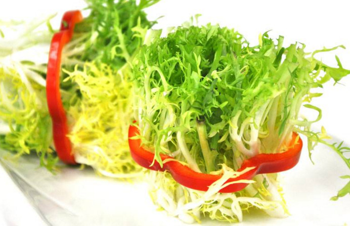 苦菊和什么相克？苦菊不能和什么同吃