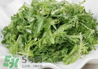苦菊吃多了好嗎？苦菊吃多了好不