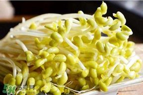 香椿和豆芽能一起吃嗎？香椿豆芽的做法大全
