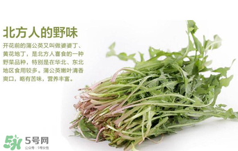 婆婆丁不能與什么同食？婆婆丁不能和什么一起吃？