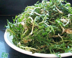 婆婆丁怎么吃？婆婆丁怎么吃最好？