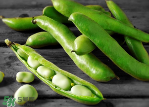 蠶豆什么時候成熟？蠶豆什么時候上市？