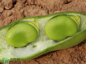 蠶豆什么時候成熟？蠶豆什么時候上市？