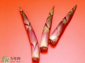竹筍什么人不能吃？哪些人不適合吃竹筍？