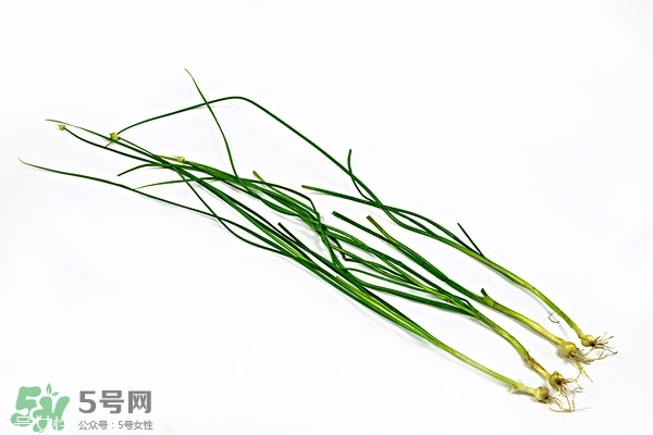 小根蒜的根能吃嗎？小根蒜的須子可以吃嗎