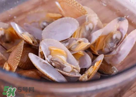 花甲怎么養(yǎng)不會(huì)死？花甲怎么養(yǎng)到用第二天？
