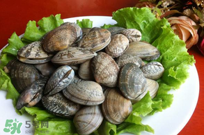 花甲不開口怎么辦？怎么讓花甲開口？
