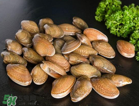 花甲為什么會(huì)苦？花甲有苦味什么原因？