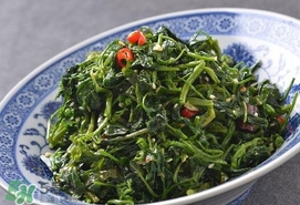 灰灰菜有什么功效？灰灰菜的功效與作用