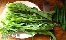 萵苣葉是什么？生菜是不是萵苣葉子