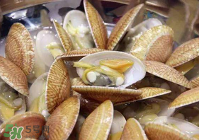 花甲什么部位不能吃？花甲哪里不能吃圖解？