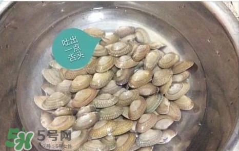 芒果螺怎么清洗？芒果螺怎么吃