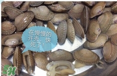 芒果螺怎么清洗？芒果螺怎么吃
