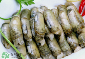 蟶子不能和什么一起吃？蟶子和什么不能一起吃？