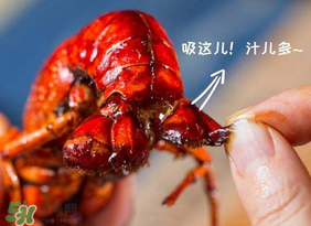 吃油燜大蝦會(huì)胖嗎？油燜大蝦的熱量是多少？
