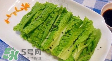 萵苣葉是什么？生菜是不是萵苣葉子