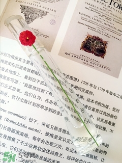 kenzo香水一枝花多少錢？kenzo一枝花香水怎么樣價(jià)格