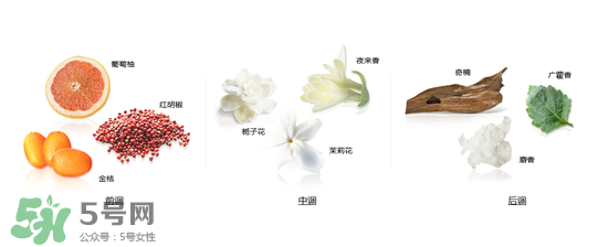 郎朗香水是什么牌子？郎朗香水是什么檔次？