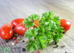 四月份可以種香菜嗎？四月份還能種香萊嗎？