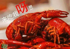 煮熟的小龍蝦隔夜能吃嗎？煮熟的小龍蝦能放多久？