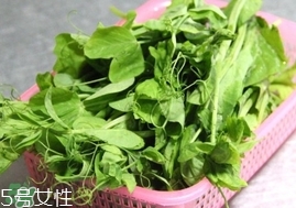 豌豆苗怎么做好吃？豌豆苗的做法
