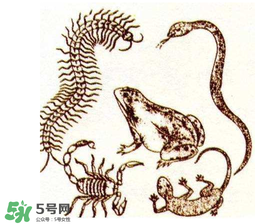 五毒日是哪幾天？2017年五毒日是哪幾天？