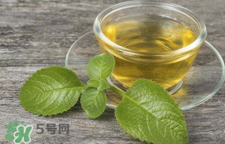 薄荷泡水喝有什么好處？薄荷葉泡水的功效