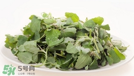 灰灰菜能吃嗎？灰灰菜怎么做菜才好吃